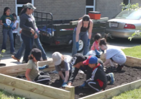 Screen Shot 2019-03-14 at 3.37.20 PM